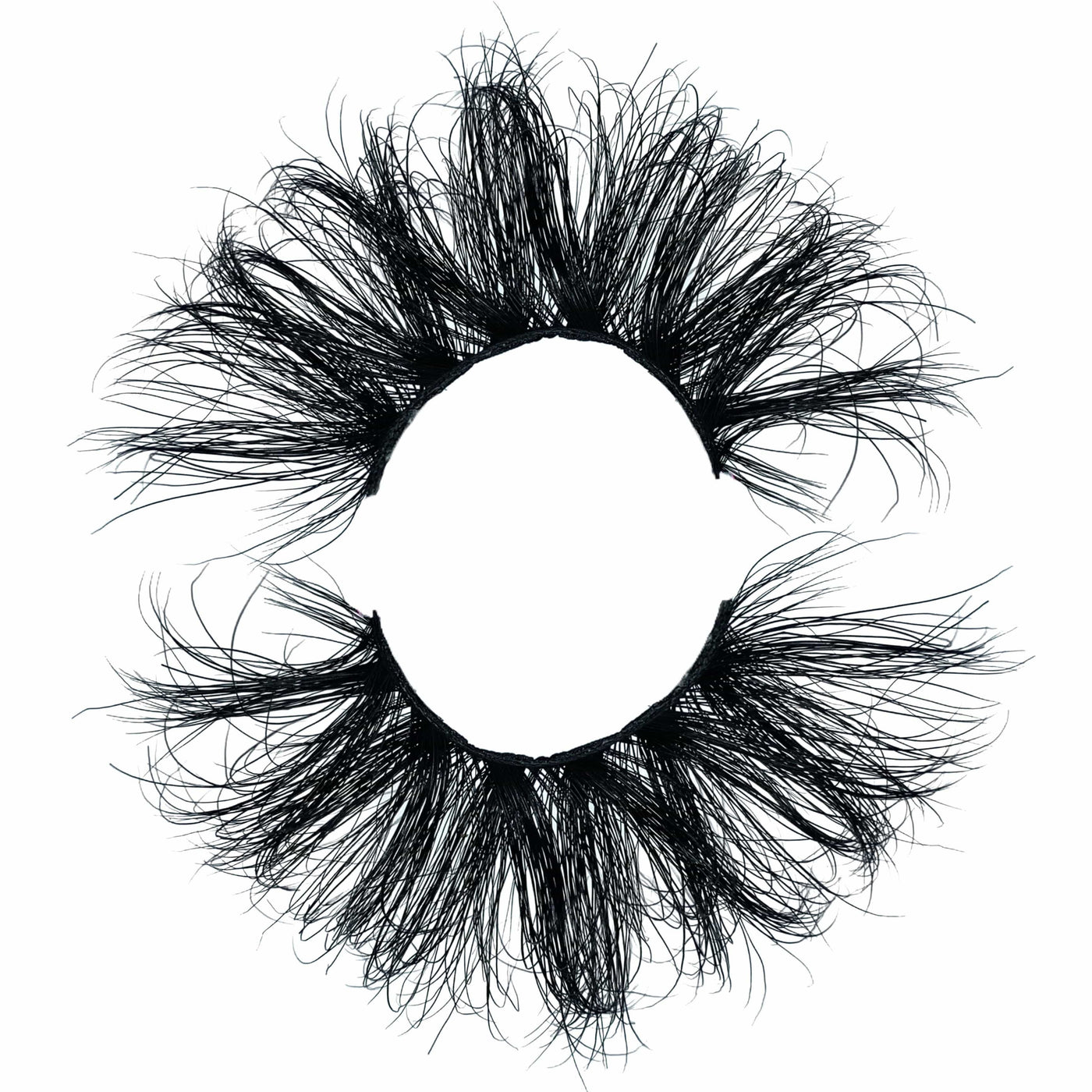 Close-up of Fantasy Lashes