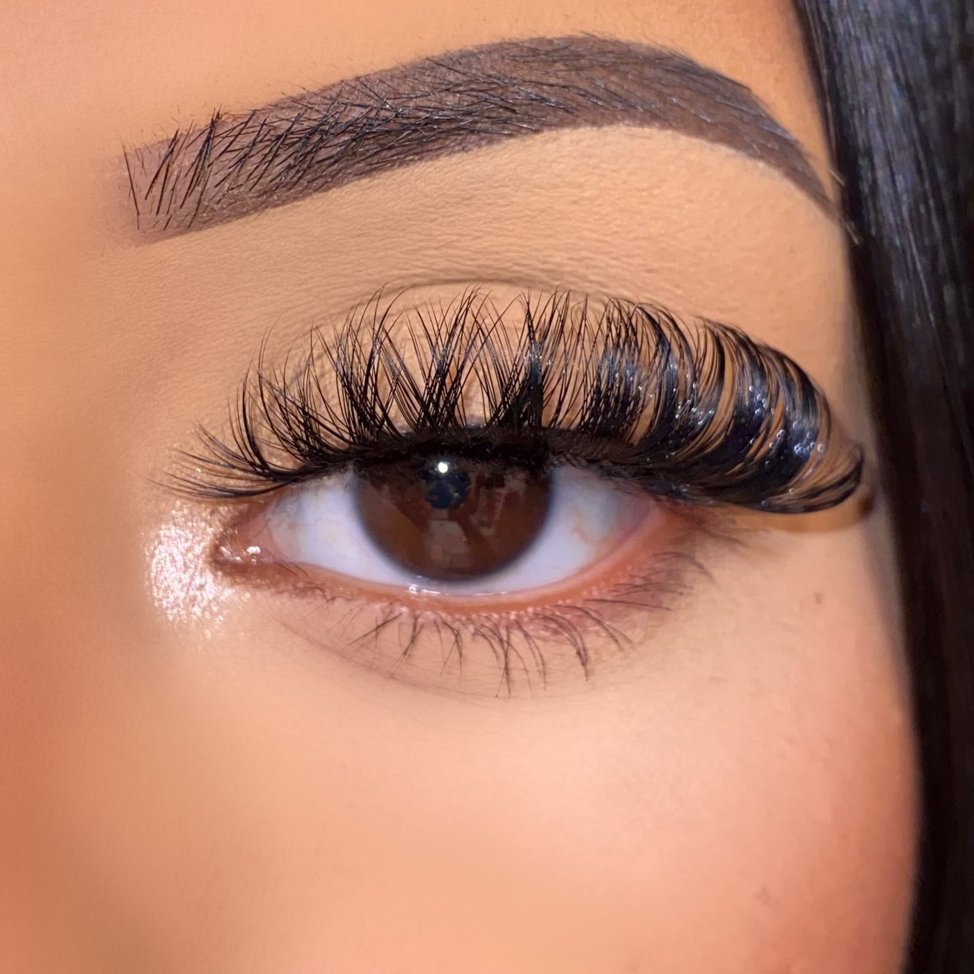 Honey (Volume D Curl) - Mink Envy Lashes