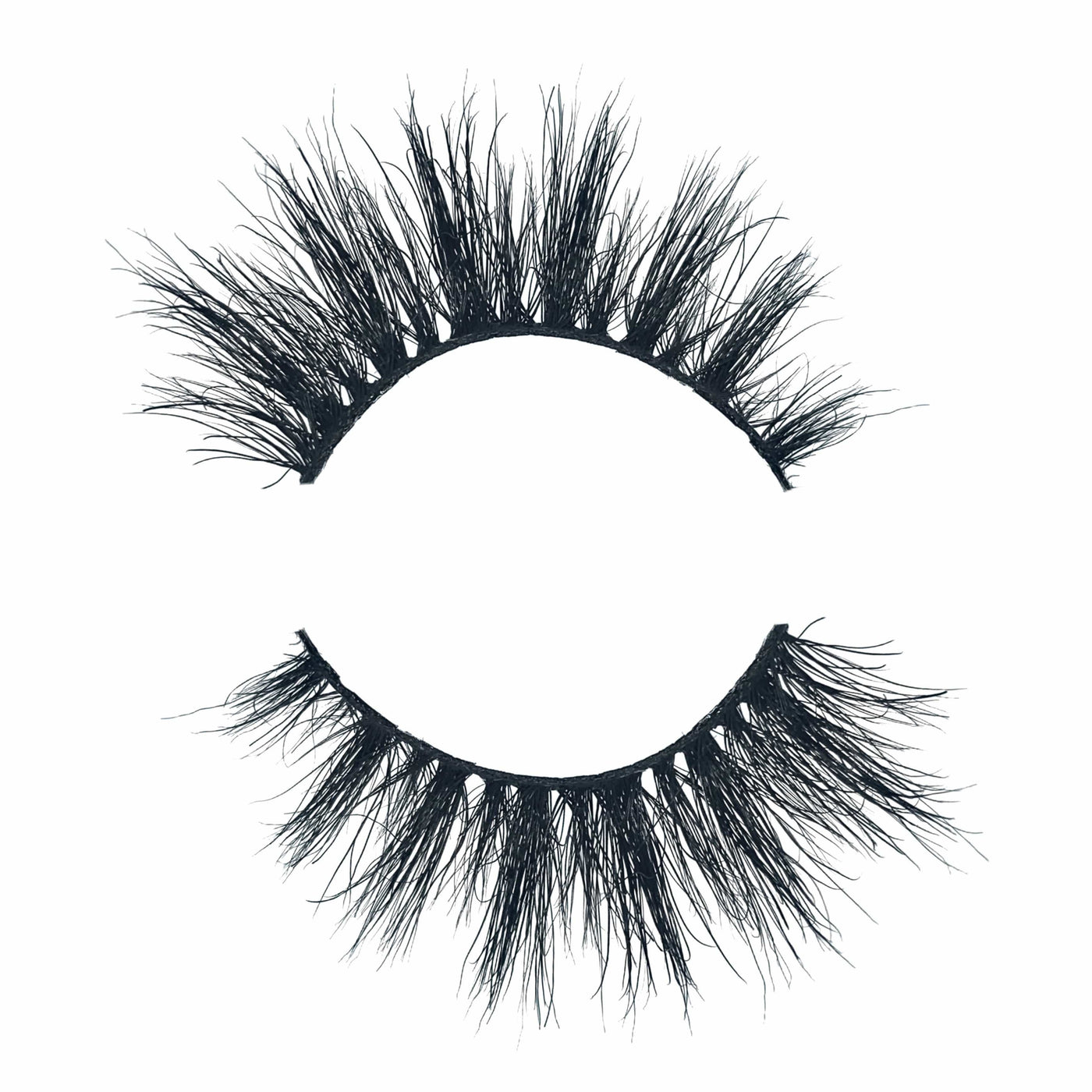 Close-up of Venus Lashes